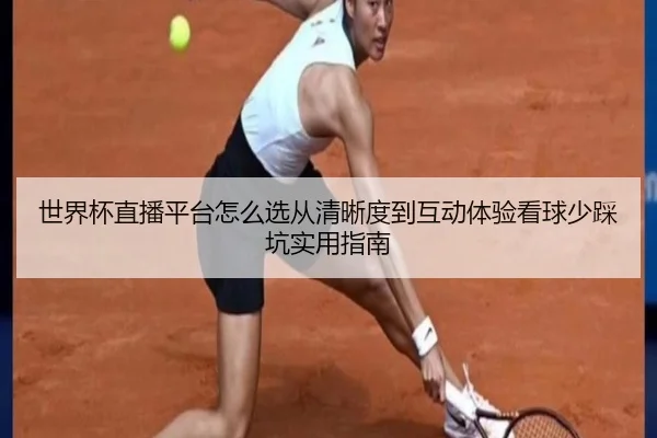 世界杯直播平台怎么选从清晰度到互动体验看球少踩坑实用指南